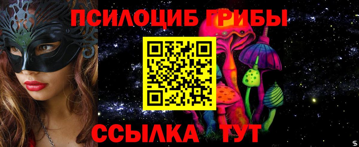 магазин продажи наркотиков  Вход с VPN  Елец  Галлюциногенные грибы Psilocybine cubensis 